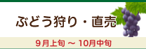 ぶどう狩り・発送