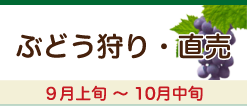 ぶどう狩り・発送