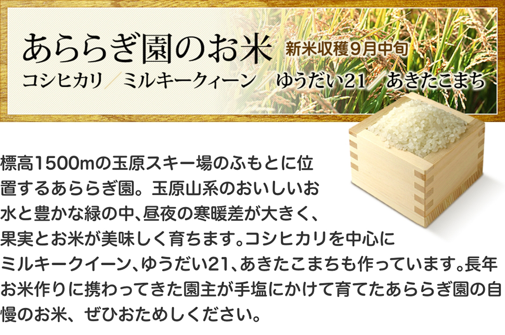 コシヒカリ　ミルキークイーン