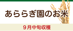 あららぎ園のお米